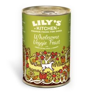 Lily's Kitchen - Veggie Feast Dog Food 375g