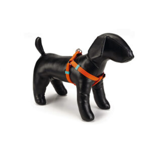 Beeztees Nylon Harness Uni Orange 46-75x2cm