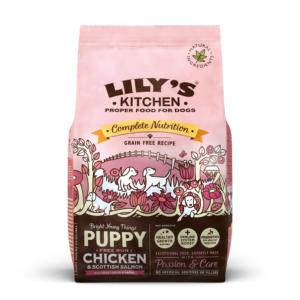 Lily's Kitchen - Chicken & Salmon Perfectly Puppy Dry Food