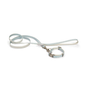 Beeztees Puppy Set Collar+Leash Tori Blue