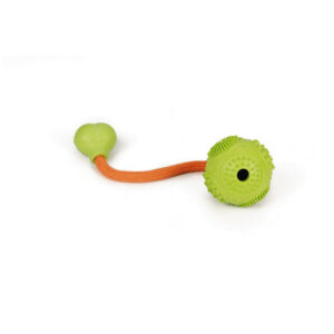 Beeztees Rubber Dental Ball With Cord Green 5cm