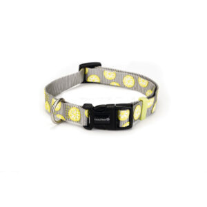 Beeztees Nylon Collar Lemon Light Grey
