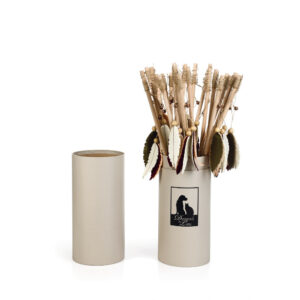 Designed By Lotte Cat Fishing Rod Kiowa