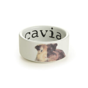 Beeztees Snapshot Guinea Pig Bowl Ceramic 10x4cm