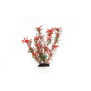 Beeztees Plastic Aqua Plant 86051R