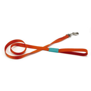 Beeztees Nylon Leash Uni Orange 120x2cm