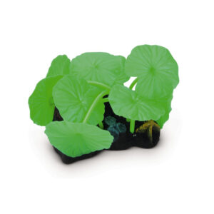 Beeztees Lotus Leaf Green 10 cm