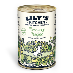 Lily's Kitchen - Recovery Recipe Dog Food 400g
