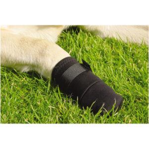 Beeztees Protective Shoe Black 2pcs