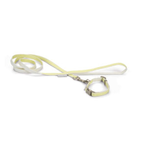 Beeztees Puppy Set Collar+Leash Jicca Yellow