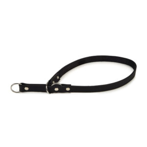 Beeztees Leather Choker Black 60x2cm