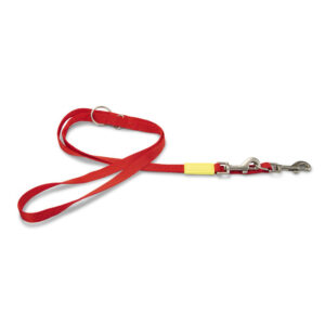 Beeztees Nylon Train Leash Uni Red 200x2cm