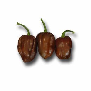 Spicy Habanero Pepper Chocolate in Pot V14
