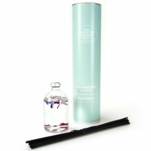 Blueberry & Goji Pastels Reed Diffuser