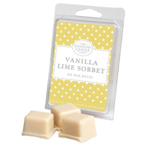 Vanilla Lime Sorbet Polka Dot Wax Melt