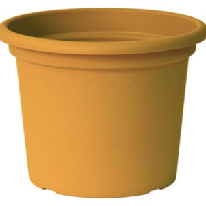 Pot Geo Mango