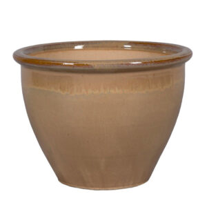 Barca 02CD Brown