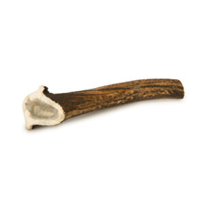 Beeztees Deer Antler Large