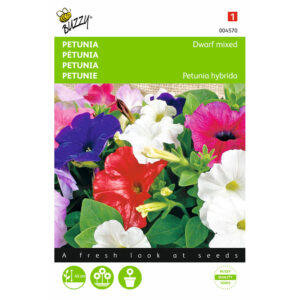 Buzzy® Petunia Dwarf Mixed Seeds