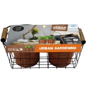 Urban Gardening Herbs x 2