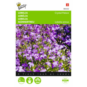 Buzzy® Lobelia Crystal Palace Seeds