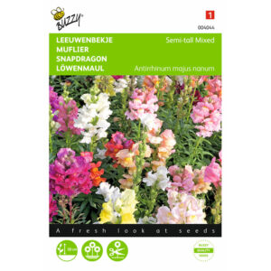 Buzzy® Snapdragon Semi-Tall, Mixed Seeds