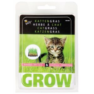 Buzzy® Catgrass Grow Kit