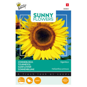 Buzzy® Sunny Flowers, Sunflower Single Giant Seeds