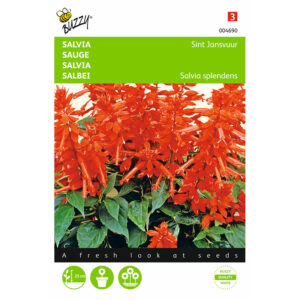 Buzzy® Salvia Sint John’s Fire Seeds