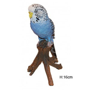 PP Budgerigar Blue