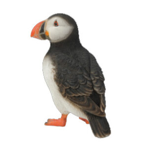 RL Puffin