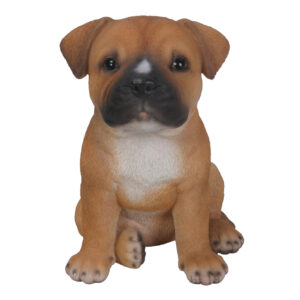 PP Staffordshire Puppy F Box/4