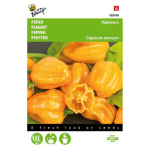 Buzzy® Pepper Habanero Orange Seeds
