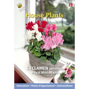Buzzy® House Plants Cyclamen Royal Mini Mix Seeds