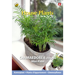 Buzzy® House Plants Chamaedorea Minipalm Seeds