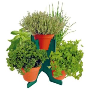 Buzzy® Herb Kit With 5 Pots