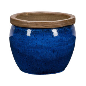 Bonn 1-01B Blue