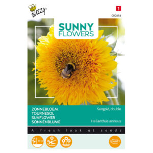 Buzzy® Sunny Flowers, Dwarf Sunflower Sungold Seeds