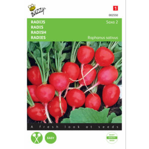 Buzzy® Radish Saxa Seeds
