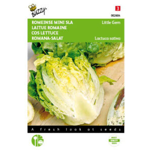 Buzzy® Lettuce Little Gem Seeds