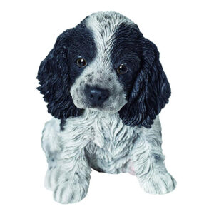 PP Black/White Cocker Spaniel Pup