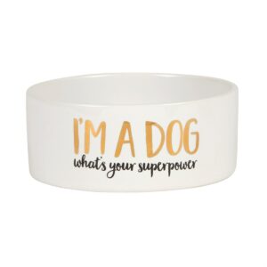 I'm A Dog, What's Your Superpower Bowl