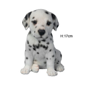 PP Dalmatian Puppy