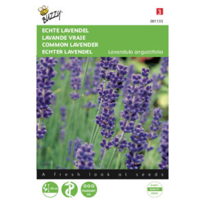 Buzzy® True Lavender (Angustifolia) Seeds