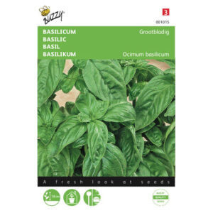 Buzzy® Sweet Basil, Large Leaved Seeds