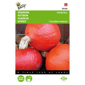 Buzzy® Pumpkin Uchiki Kuri Seeds