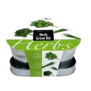 Buzzy® Fresh Garden Zinc Tray Herbs Grow Kit