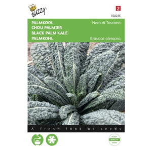 Buzzy® Black Leaf Kale Nero Di Toscana Seeds