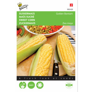 Buzzy® Sweet Corn Golden Bantam Seeds