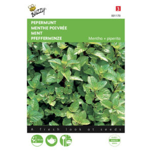 Buzzy® Mint Seeds